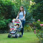 R-for-Rabbit-Lollipop-Lite-Baby-Stroller-for-0-to-3-Years-Pram-with-5-point-safety-harness-Reversible-Handlebar-Cushioned-seat-with-3-level-seats-recline-Lightweight-stroller-for-kids-Multi-Color-1.jpg