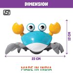 crab-1.jpg